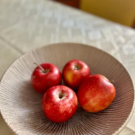 Vintage Senacka 3 * 크라쿠프