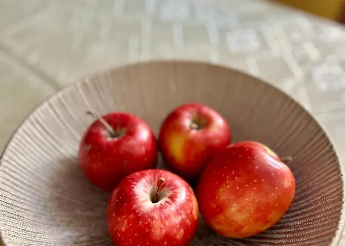 Vintage Senacka 3 * Krakkó